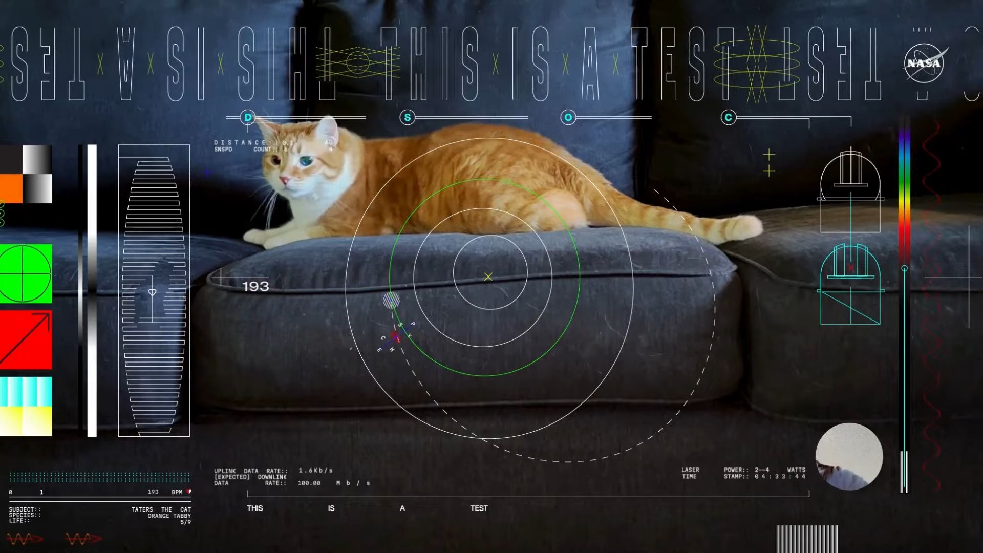 NASA Has Received a Cat Video from Deep Space