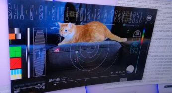This Cat Traveled Over 30 Million Kilometers in Space Thanks to a NASA Laser