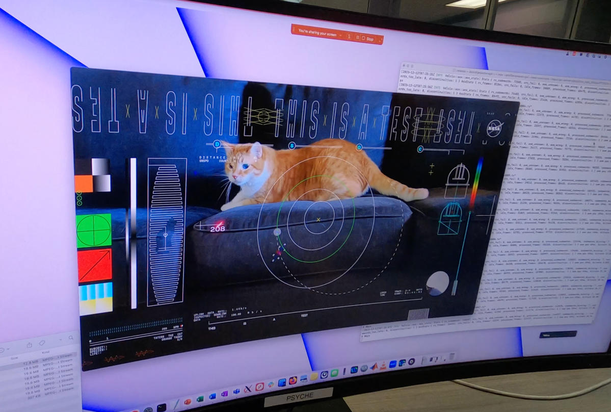 NASA Transmitted a Video of a Cat Named Taters from Deep Space to Earth